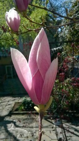 The Bookies Bar&Garden